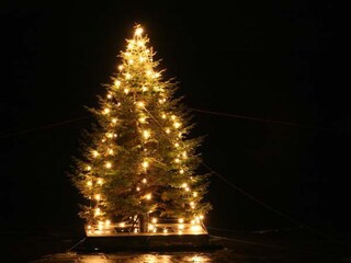 Der schwimmende Weihnachtsbaum von Neßmersiel