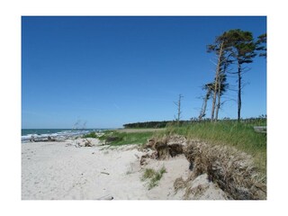 Prerow - Weststrand