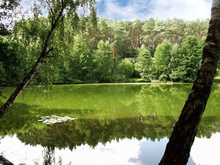 Casa per le vacanze Sewekow Ambiente 39