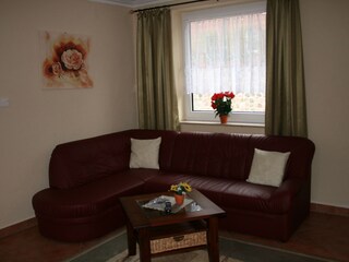 Casa per le vacanze Sewekow Caratteristiche 14