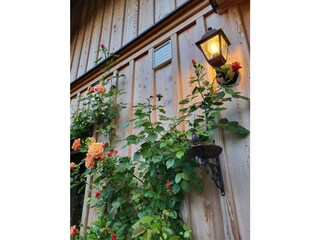 Appartamento per vacanze Bad Mitterndorf Registrazione all'aperto 8