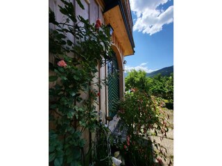 Apartamento de vacaciones Bad Mitterndorf Grabación al aire libre 9
