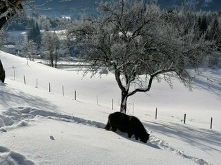 Apartamento de vacaciones Bad Mitterndorf Grabación al aire libre 27