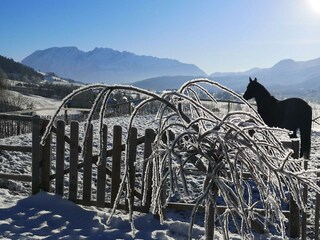 Appartamento per vacanze Bad Mitterndorf Registrazione all'aperto 30