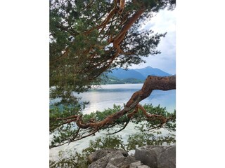 Appartamento per vacanze Bad Mitterndorf Registrazione all'aperto 31