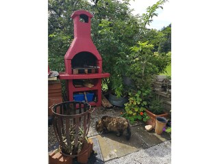 Appartamento per vacanze Bad Mitterndorf Registrazione all'aperto 36