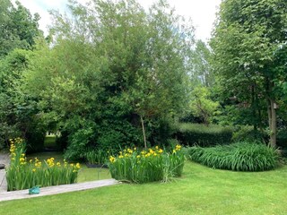 Ferienhaus Ostende Außenaufnahme 3