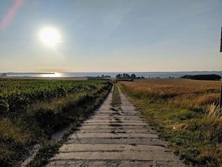 Ferienhaus Alt Bukow Umgebung 32