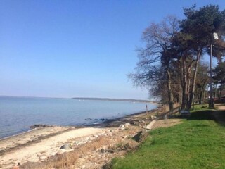 Vakantiehuis Alt Bukow Omgeving 25