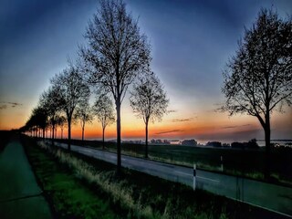 Vakantiehuis Alt Bukow Omgeving 27