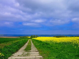 Vakantiehuis Alt Bukow Omgeving 23