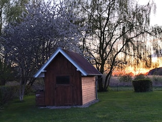 Ferienhaus Alt Bukow Umgebung 37
