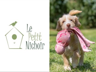 Holiday house Sauveterre-la-Lemance  20
