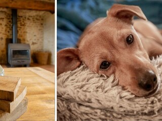 Vakantiehuis Sauveterre-la-Lemance  37