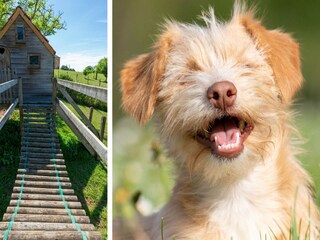 Vakantiehuis Sauveterre-la-Lemance  34