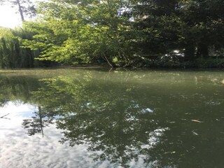 Vakantiehuis Sauveterre-la-Lemance Omgeving 27