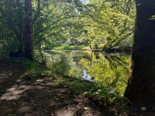 Vakantiehuis Sauveterre-la-Lemance Omgeving 28