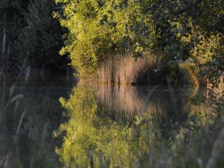 Maison de vacances Sauveterre-la-Lemance Environnement 23