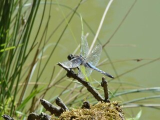 Maison de vacances Sauveterre-la-Lemance Environnement 28