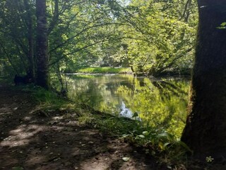 Vakantiehuis Sauveterre-la-Lemance Omgeving 33