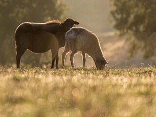 Casa de vacaciones Sauveterre-la-Lemance Entorno 27