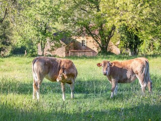 Casa de vacaciones Sauveterre-la-Lemance Entorno 25