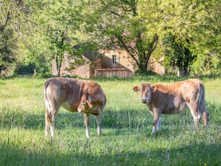 Ferienhaus Sauveterre-la-Lemance Umgebung 25