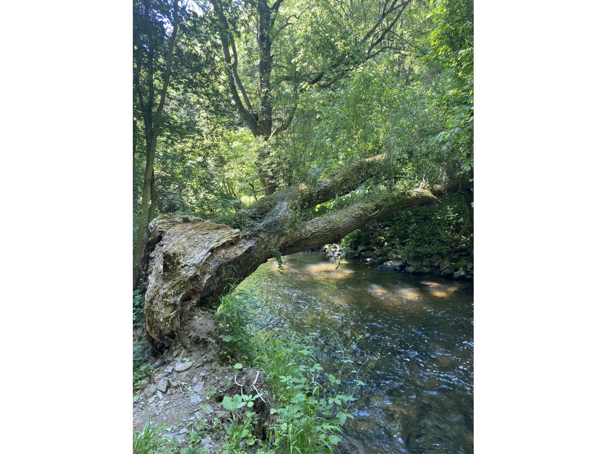 Erholung im Nahbereich