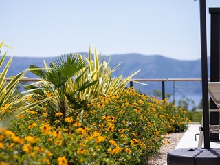 Villa Brzac Registrazione all'aperto 4