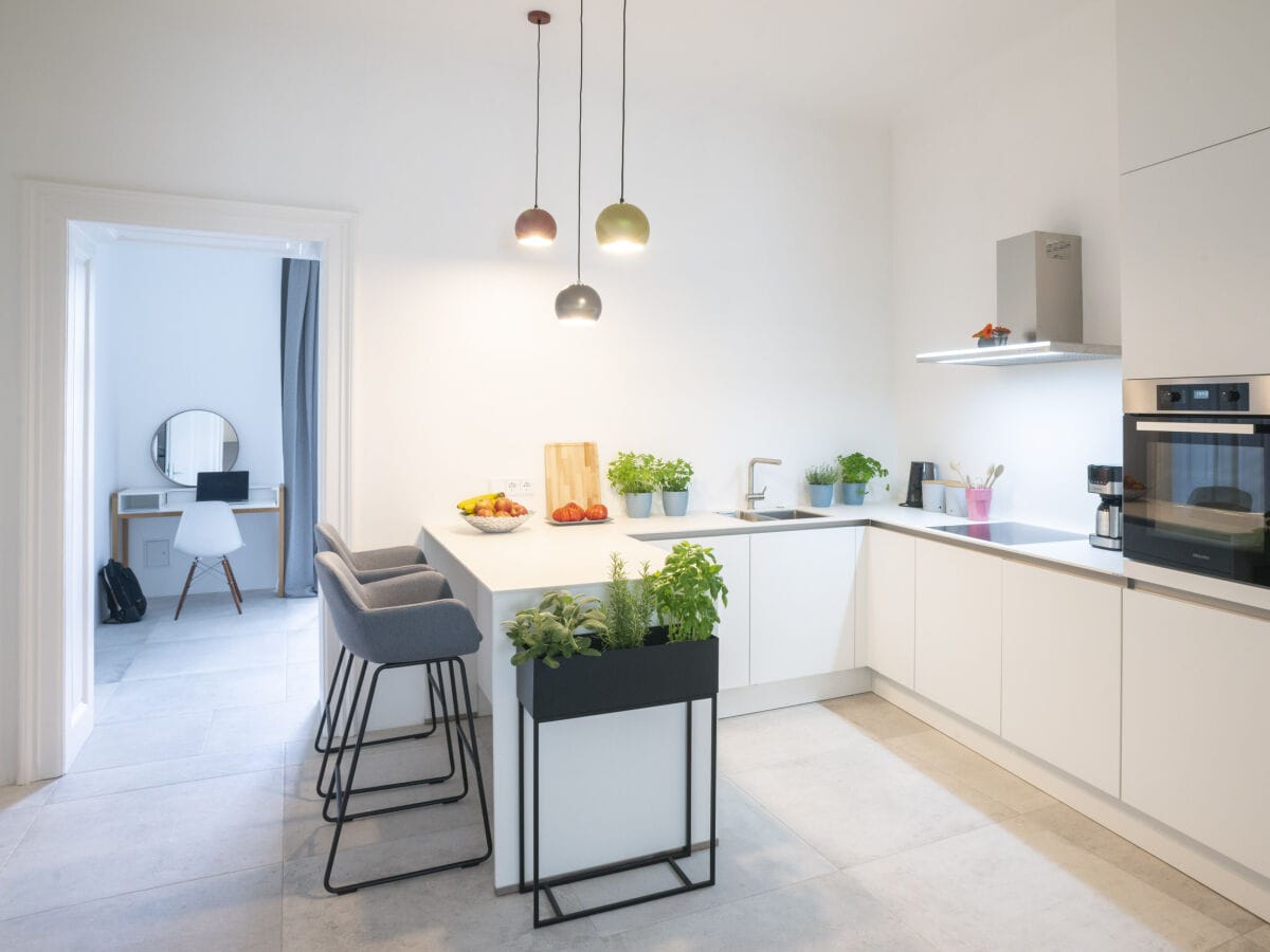 View of the kitchen looking towards the terrace