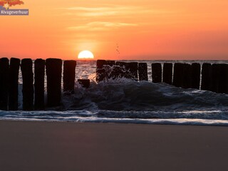 Casa de vacaciones Nieuwvliet Entorno 30