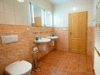 Villa Albrechtice v Jizerských horách Ausstattung 64