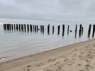 Ein milder Tag im Winter