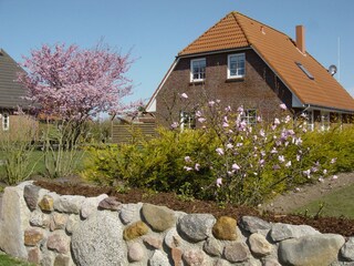Haus Winkler im Frühjahr
