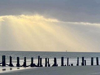 Nach den Herbststürmen