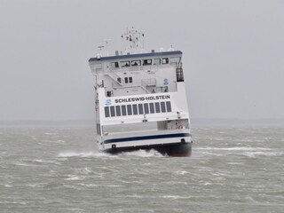 Stürmische Überfahrt