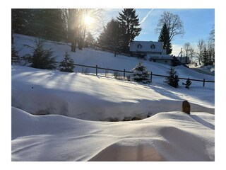 Villa Lučany nad Nisou Environment 40