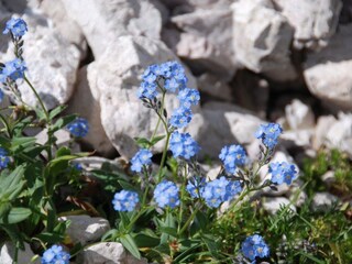 Appartamento per vacanze Kiens Ambiente 20