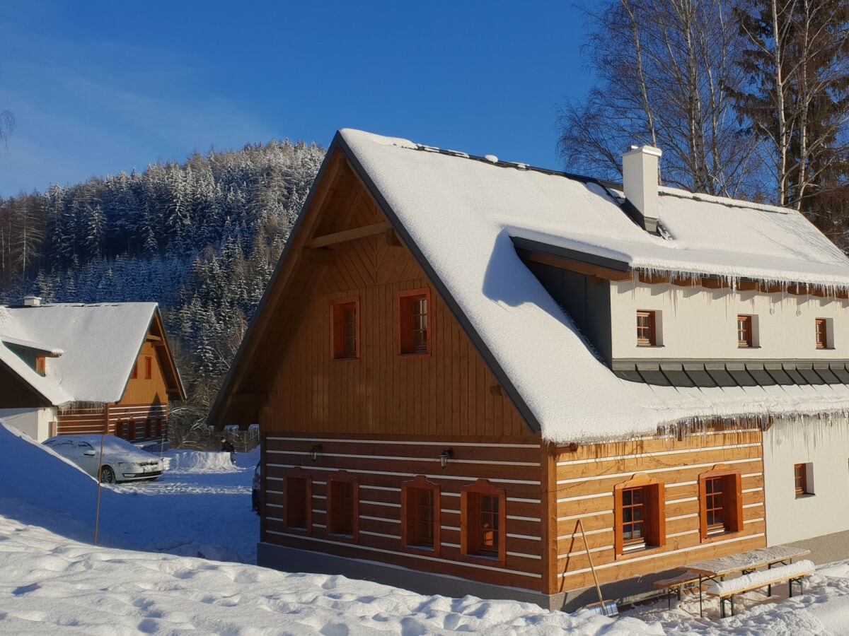 Villa Trutnov Außenaufnahme 2