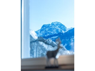 Appartamento per vacanze Au in Vorarlberg Caratteristiche 15