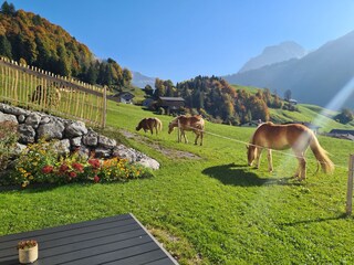 Vakantieappartement Au in Vorarlberg Buitenaudio-opname 11