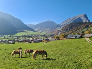 Vakantieappartement Au in Vorarlberg Omgeving 30