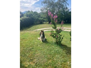 Casa per le vacanze Madruzzo Registrazione all'aperto 8