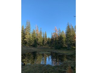 Appartamento per vacanze Rauris Ambiente 22