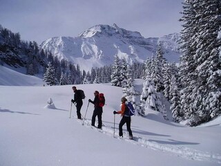 Appartamento per vacanze Rauris Ambiente 21