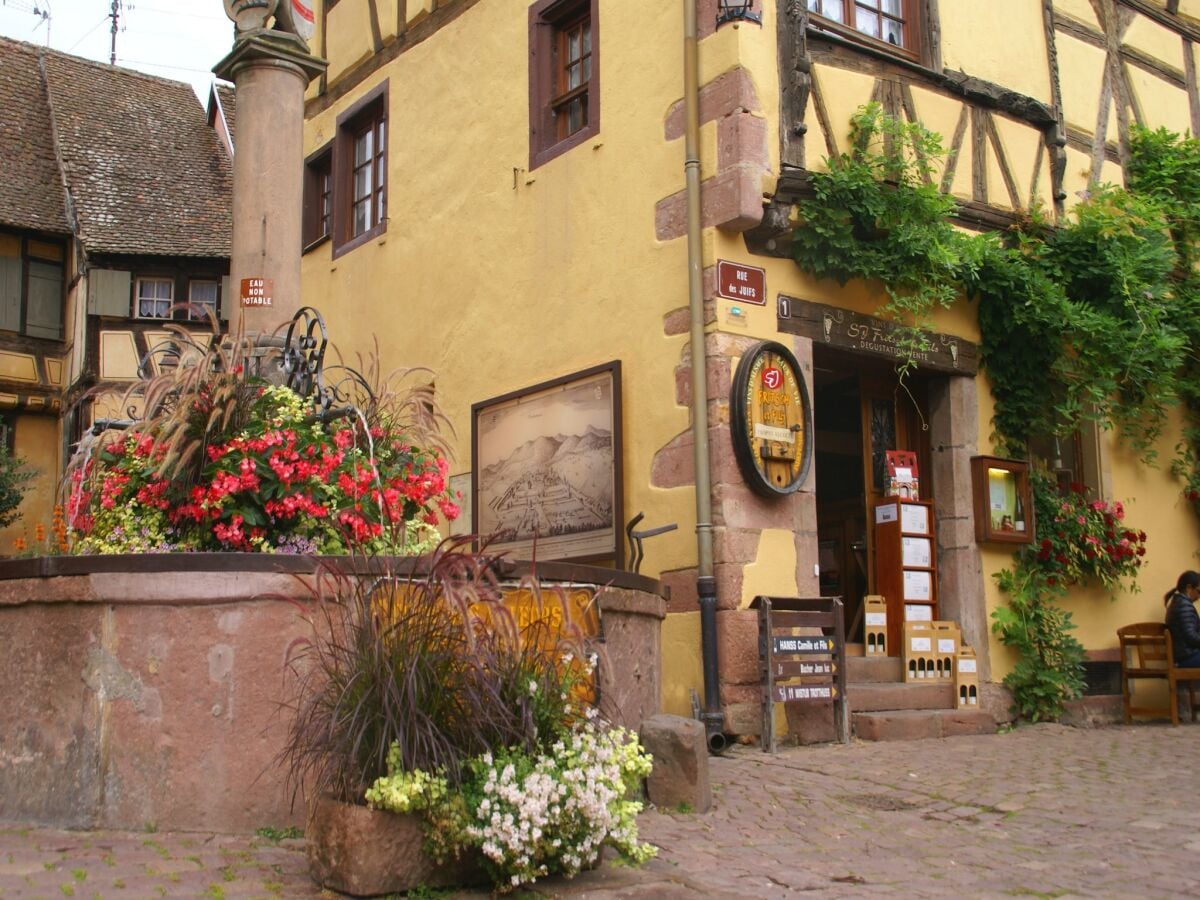 Apartment Riquewihr Umgebung 21