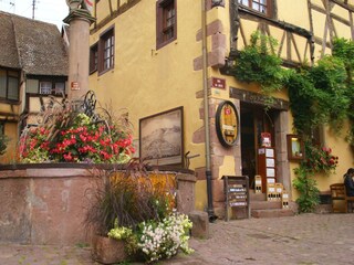 Appartement Riquewihr Environnement 21