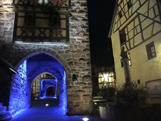 Apartment Riquewihr Umgebung 28