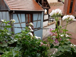 Appartement Riquewihr Enregistrement extérieur 8