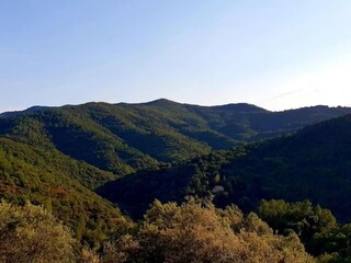 Appartement Riquewihr Omgeving 27